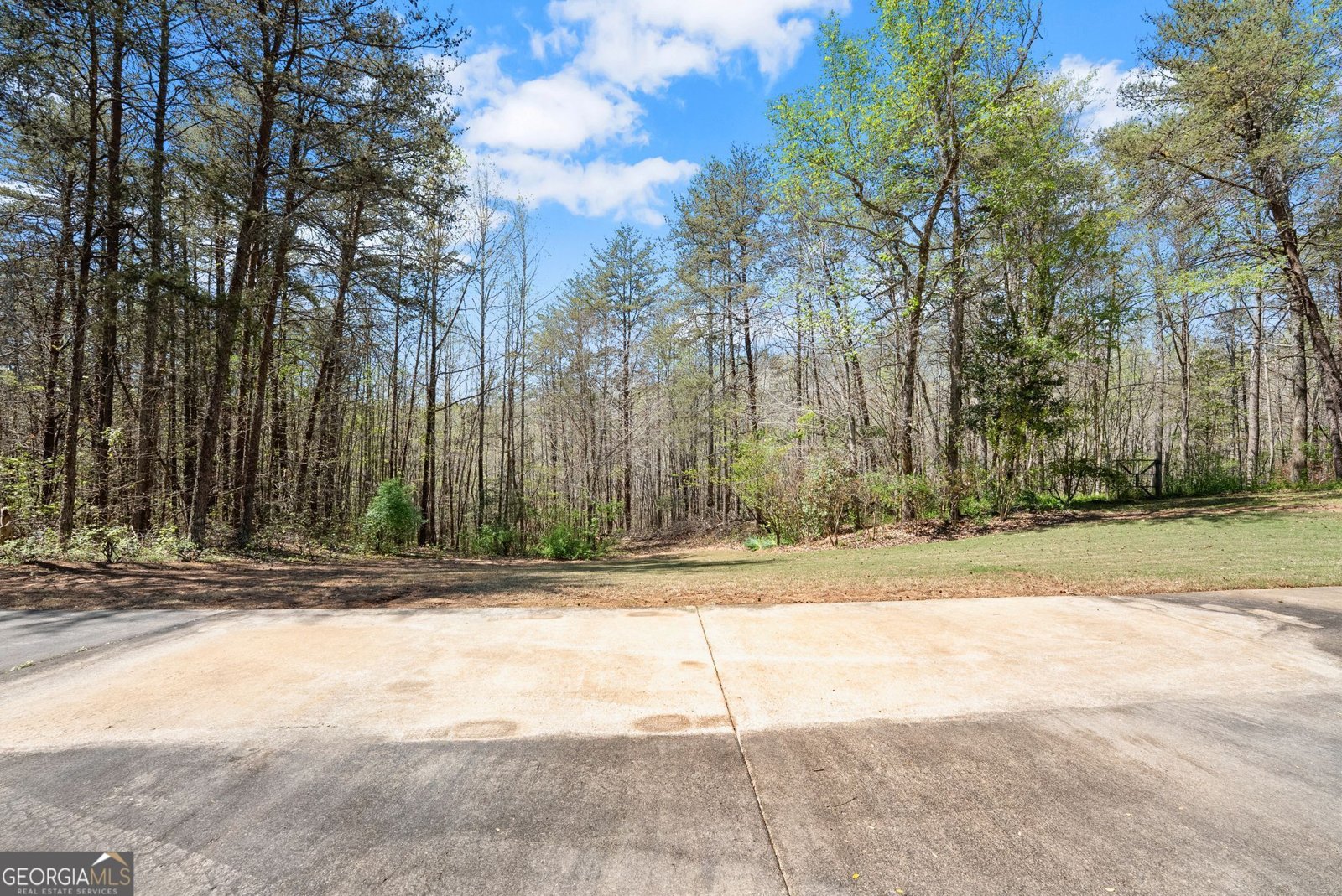 219 John Garner Road Dahlonega - Photo 61