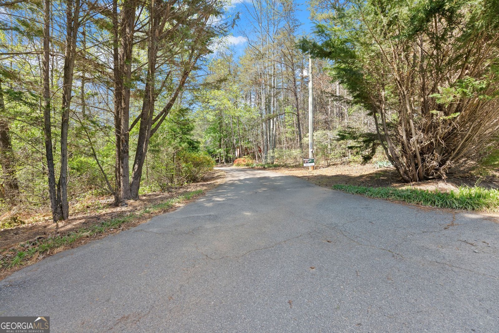 219 John Garner Road Dahlonega - Photo 63