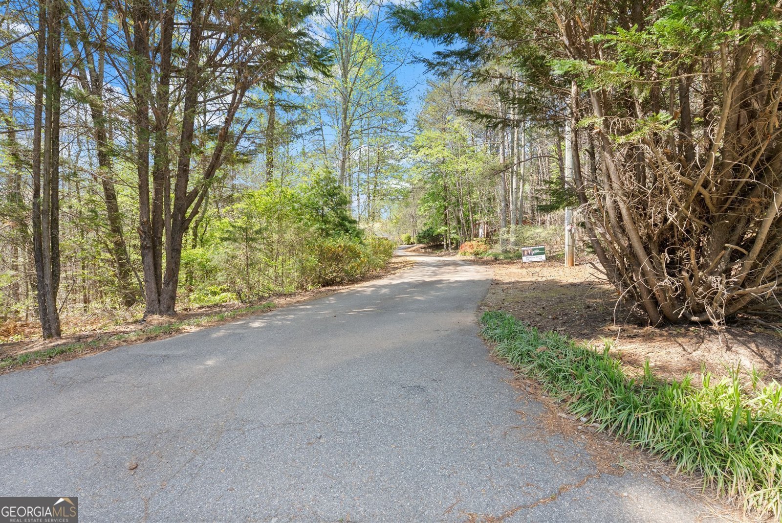 219 John Garner Road Dahlonega - Photo 64