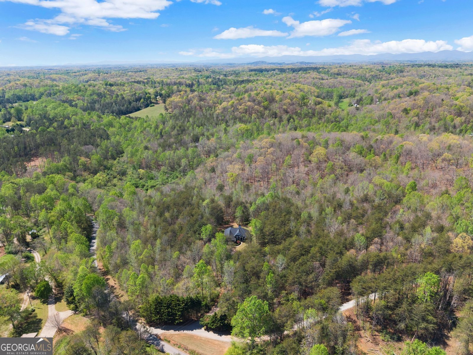 219 John Garner Road Dahlonega - Photo 71