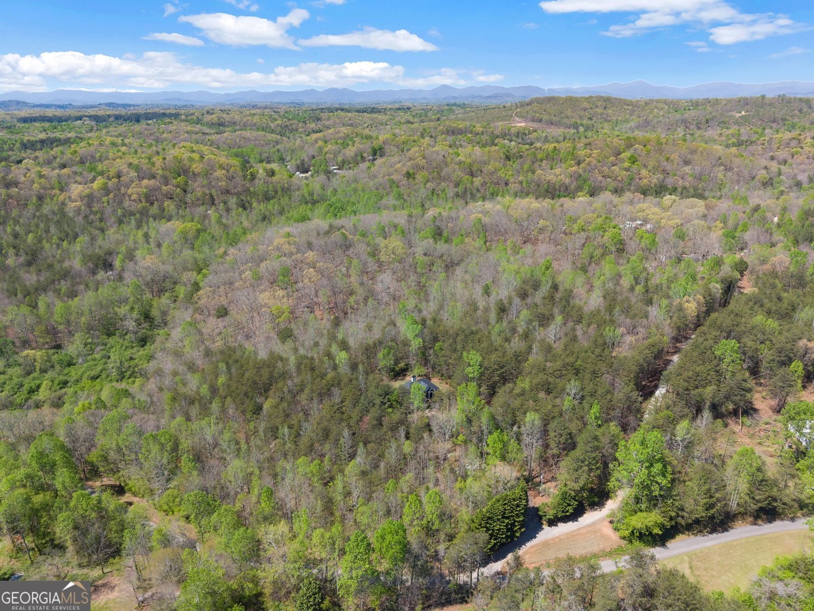 219 John Garner Road Dahlonega - Photo 72