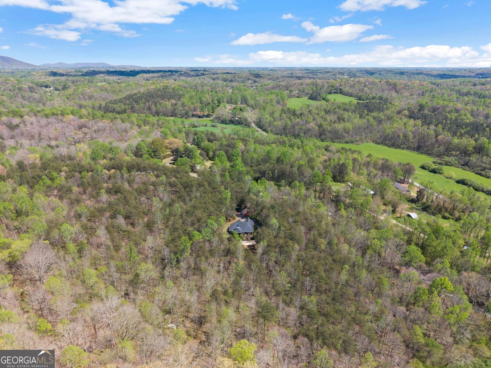 219 John Garner Road Dahlonega - Photo 74