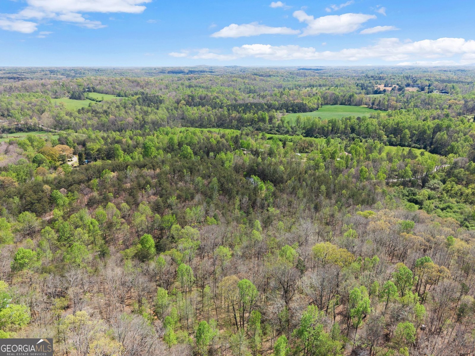 219 John Garner Road Dahlonega - Photo 75