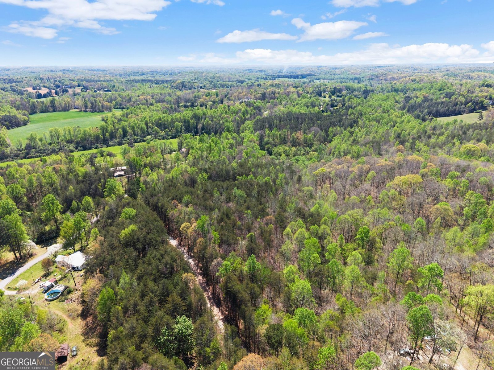 219 John Garner Road Dahlonega - Photo 76