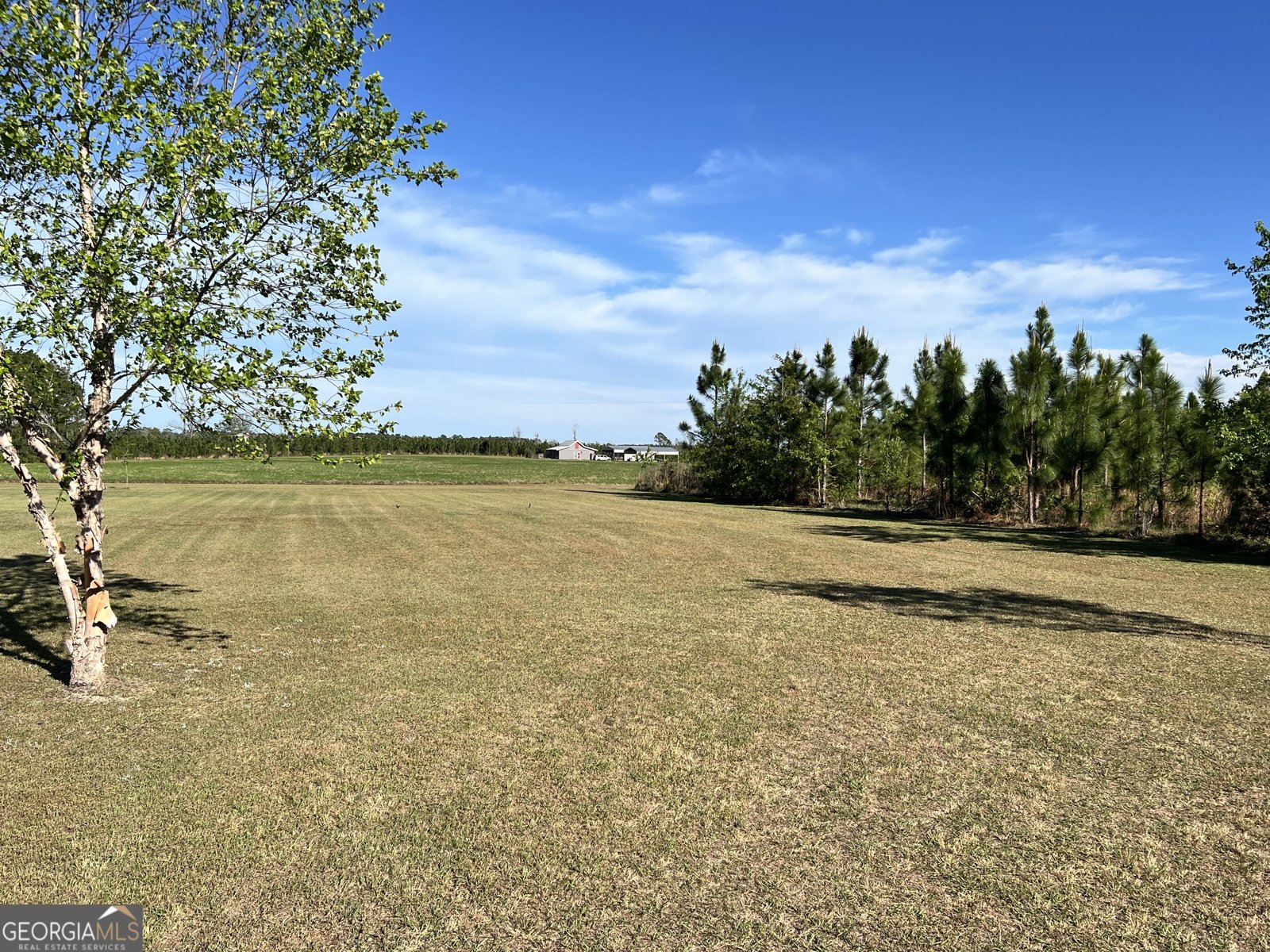 946 Old Savannah Road Ailey - Photo 27