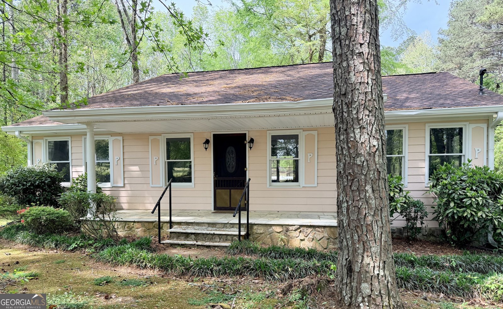 1129 Cave Springs Road Douglasville - Photo 1