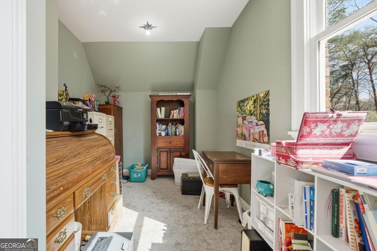 864 Blackberry Trail Ball Ground - Photo 41