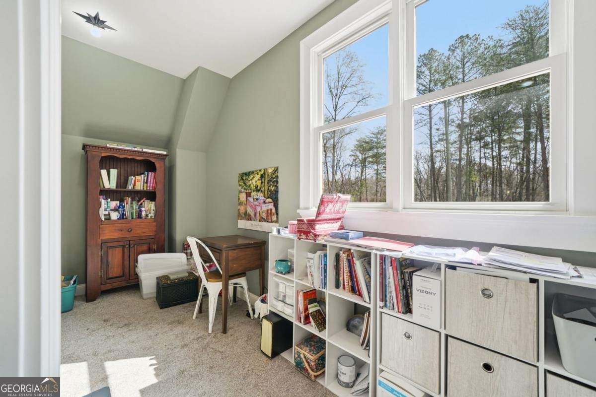 864 Blackberry Trail Ball Ground - Photo 42