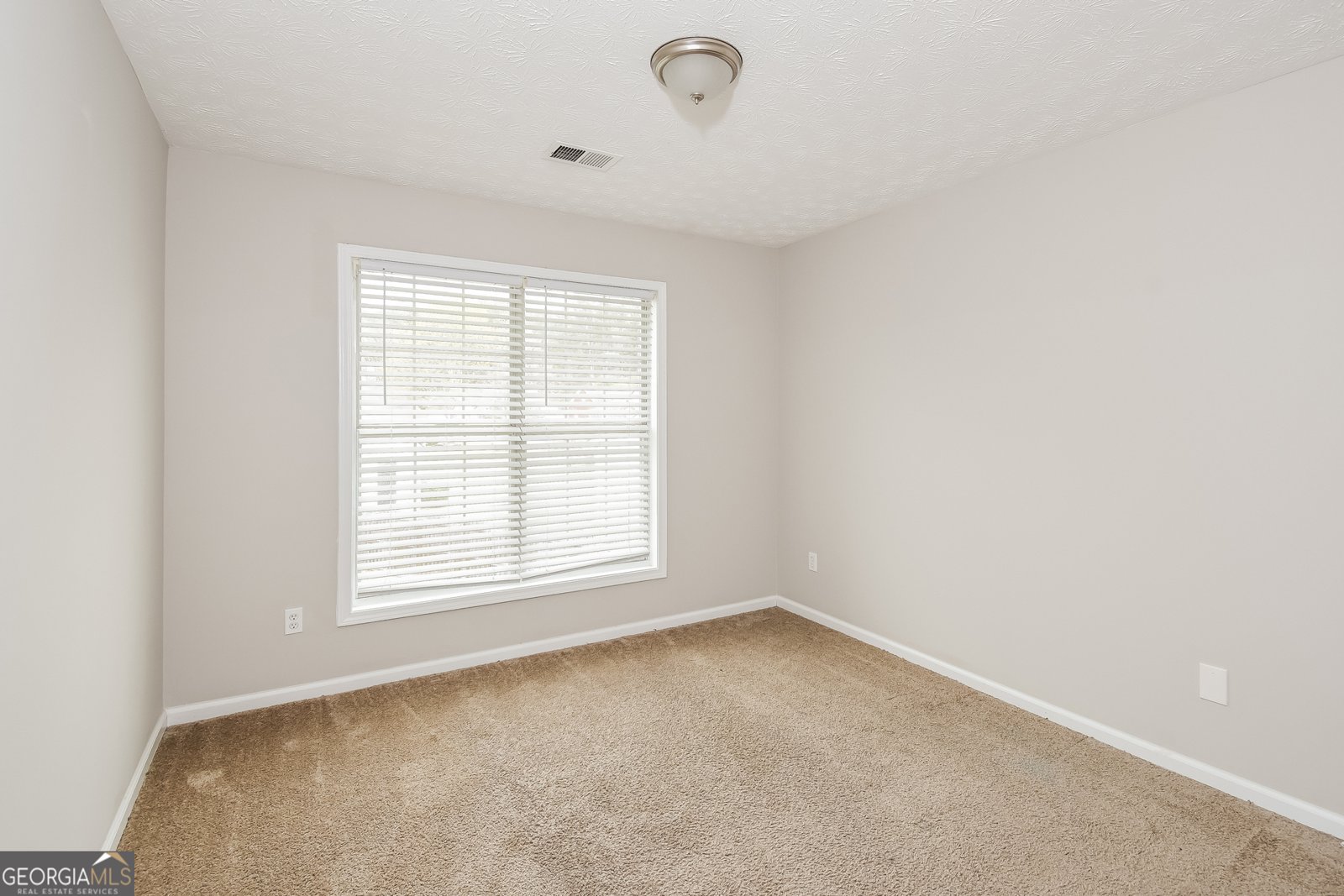 1719 Mission Park Court Loganville - Photo 18