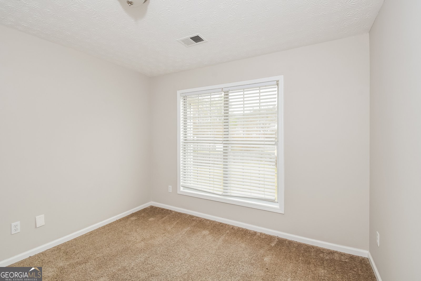 1719 Mission Park Court Loganville - Photo 19