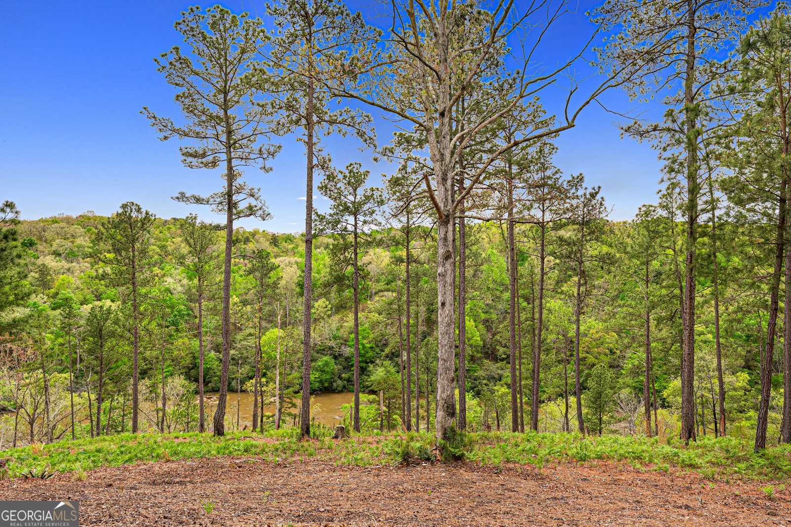 630 Human Road Bowman - Photo 31