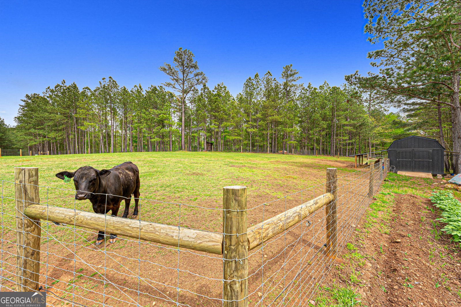 630 Human Road Bowman - Photo 34