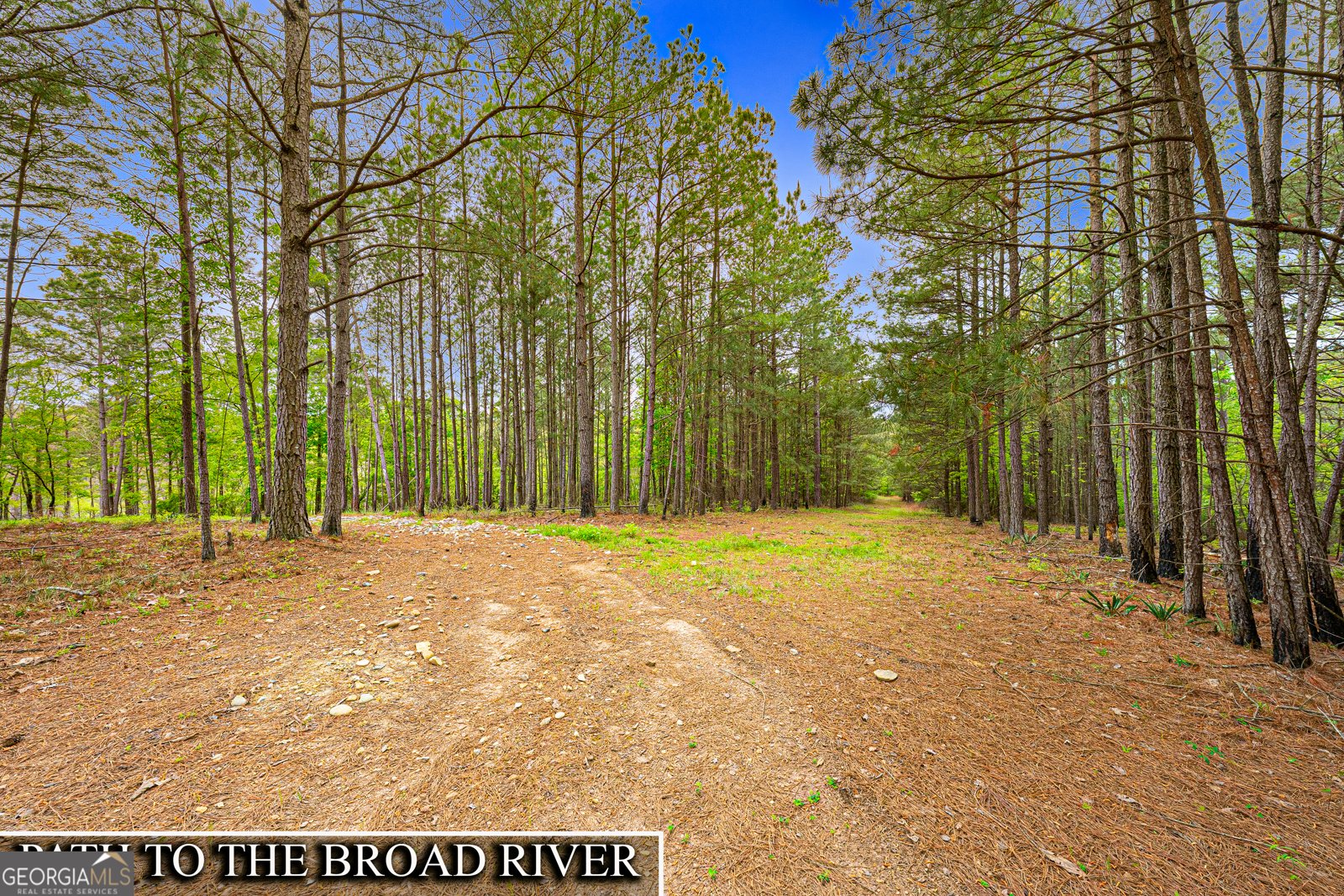 630 Human Road Bowman - Photo 35