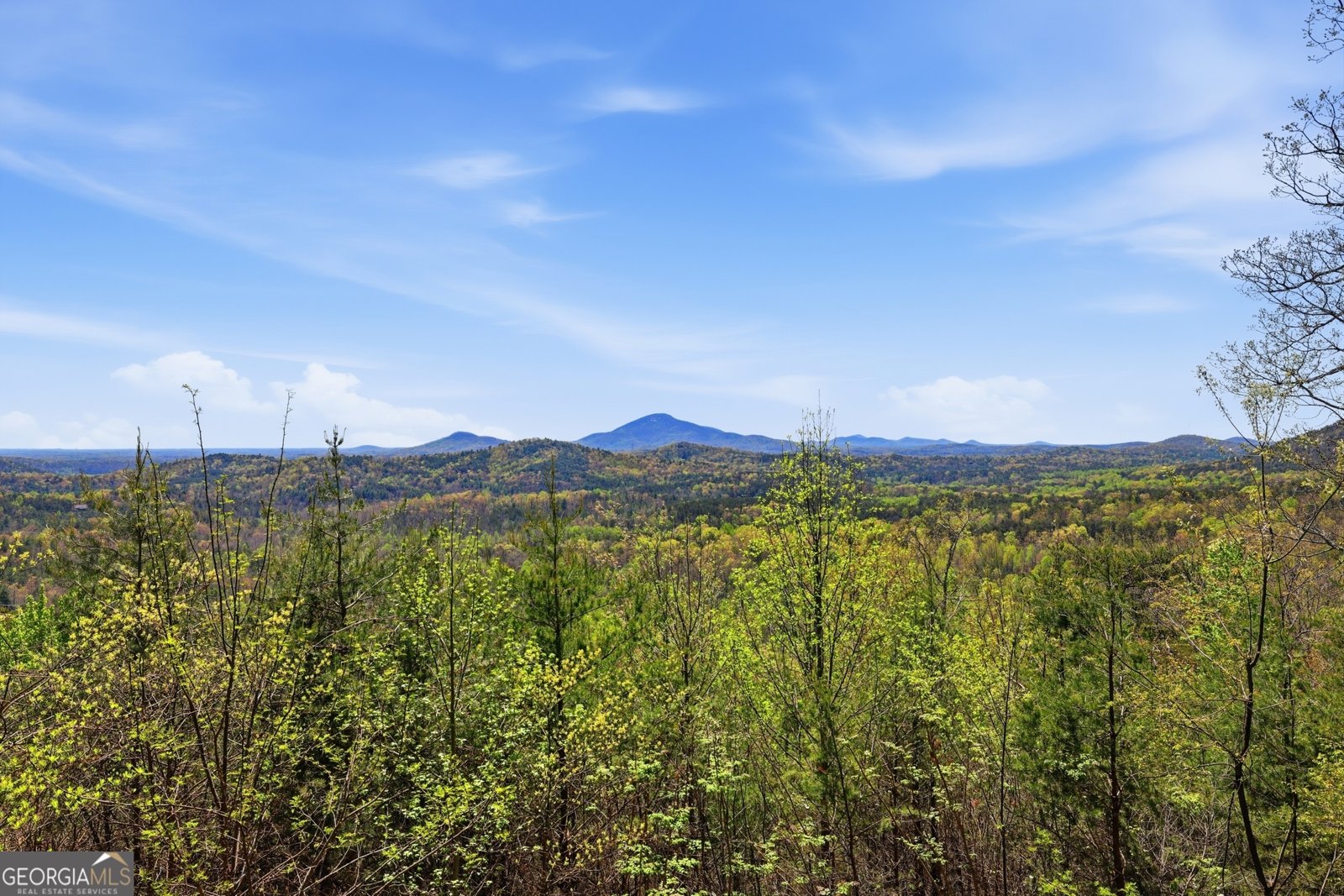 378 Matadore Vista Sautee Nacoochee - Photo 59