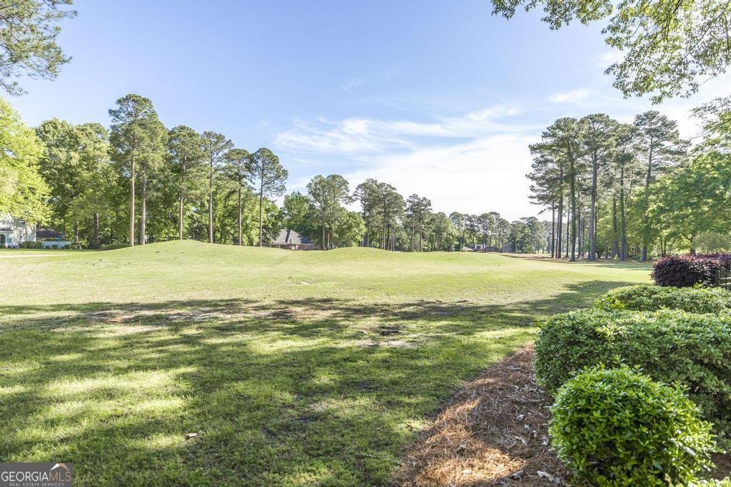 201 Stathams Way Warner Robins - Photo 49