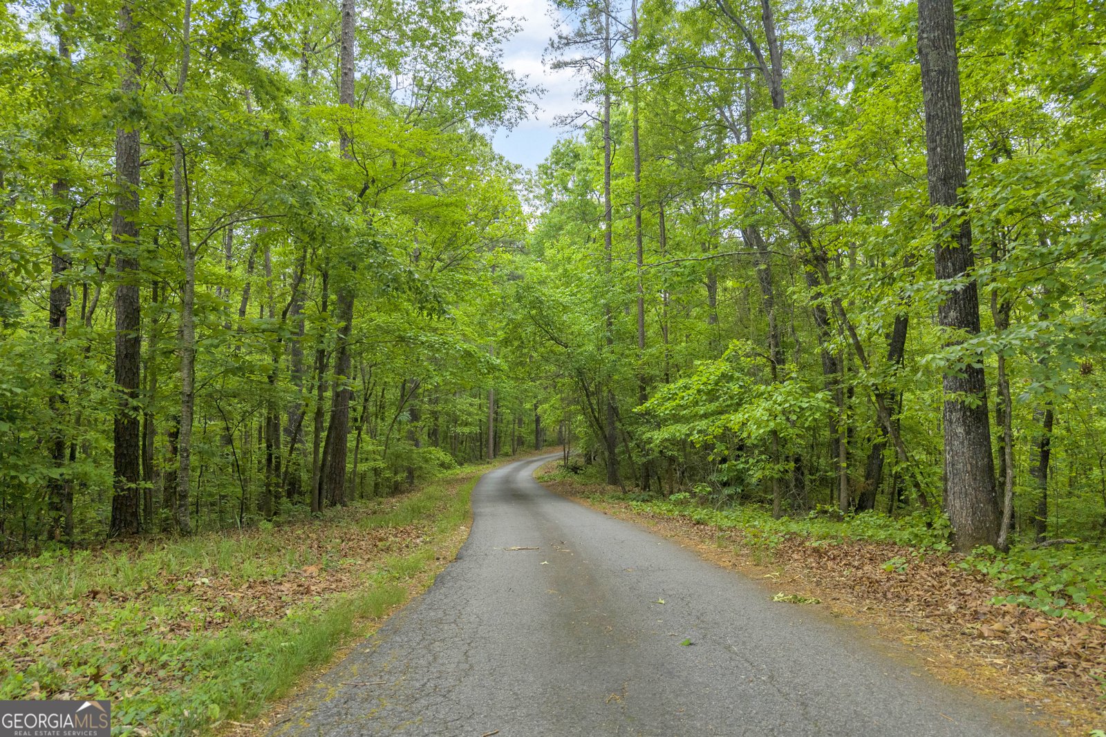 430 Valley Road Dawsonville - Photo 74