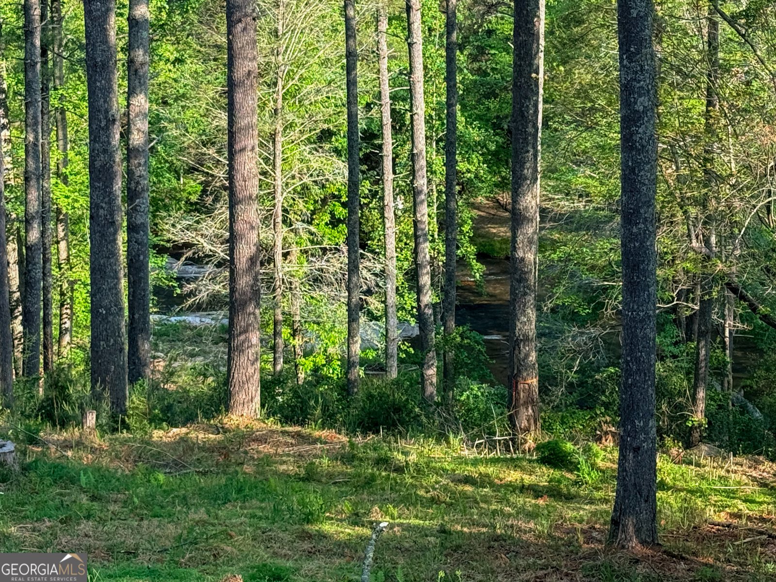 499 Old Deer Path Way Cleveland - Photo 32