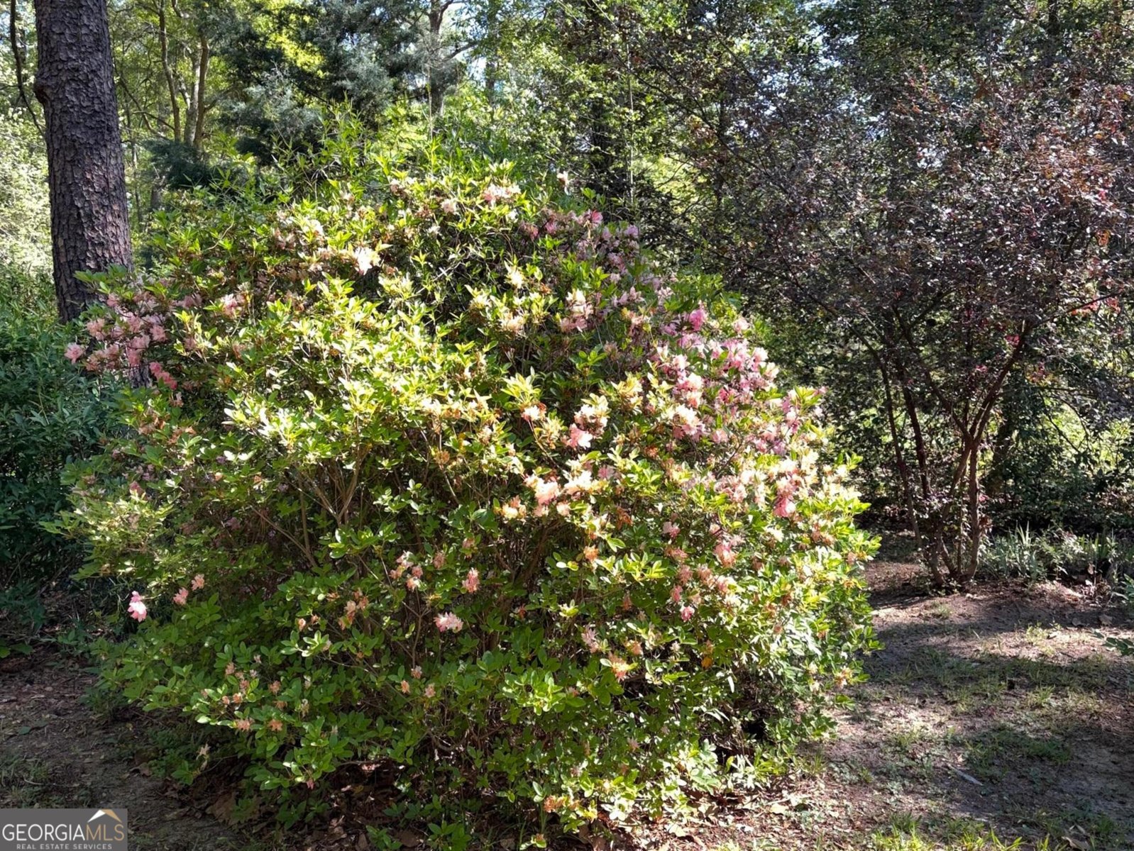 3121 Bonds Lake Road Conyers - Photo 39