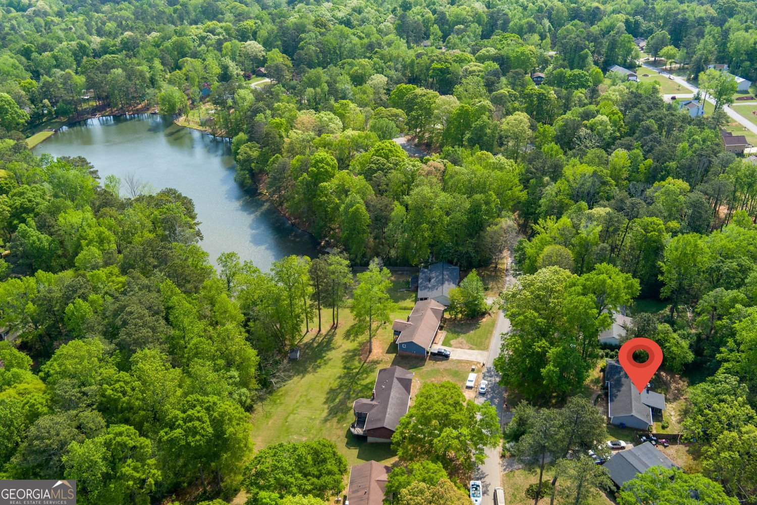 20 Lakeside Drive Ellenwood - Photo 29