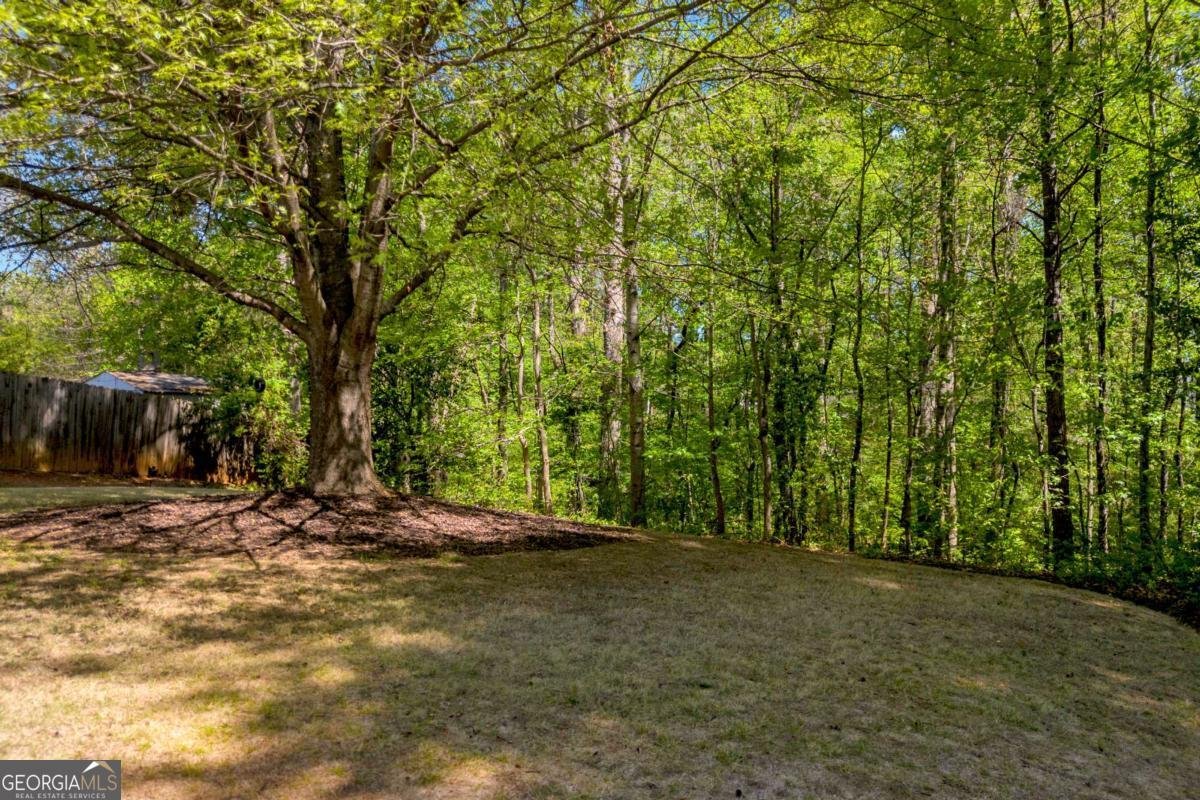 132 Amelia Creek Way Lawrenceville - Photo 30