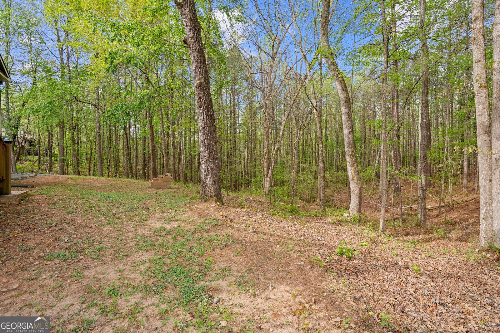 3883 Johnston Road Winston - Photo 40
