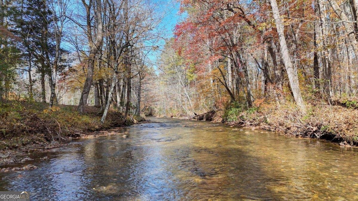 1949 Big Pine Drive Hiawassee - Photo 54