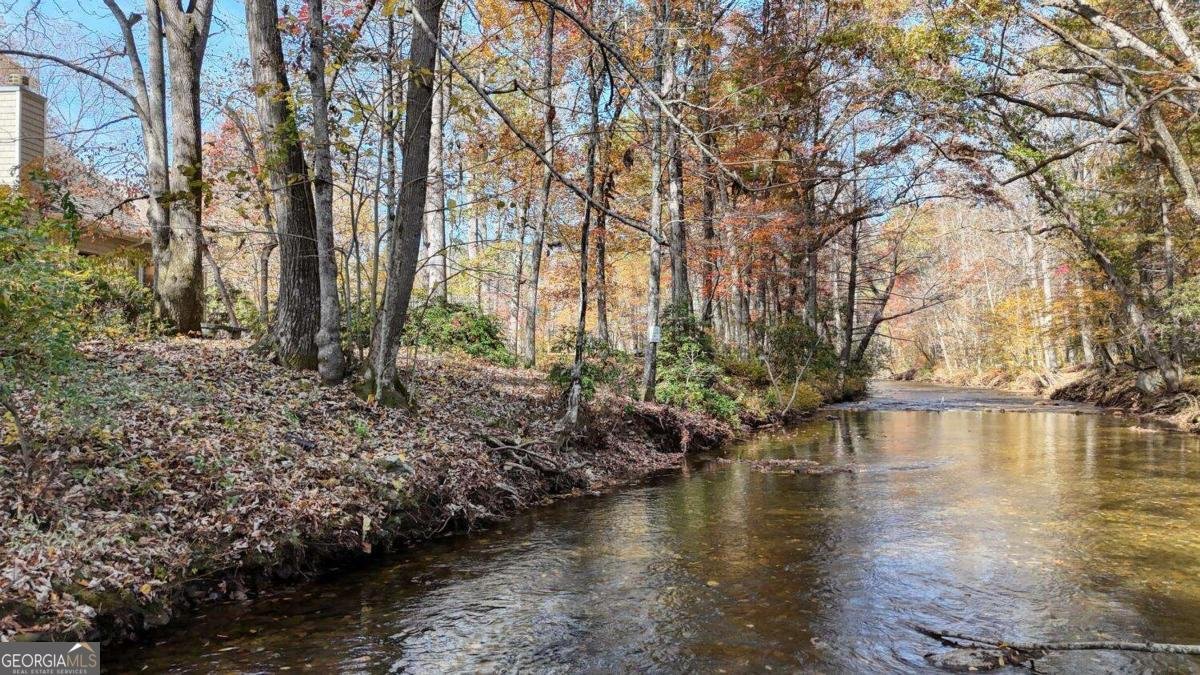 1949 Big Pine Drive Hiawassee - Photo 58