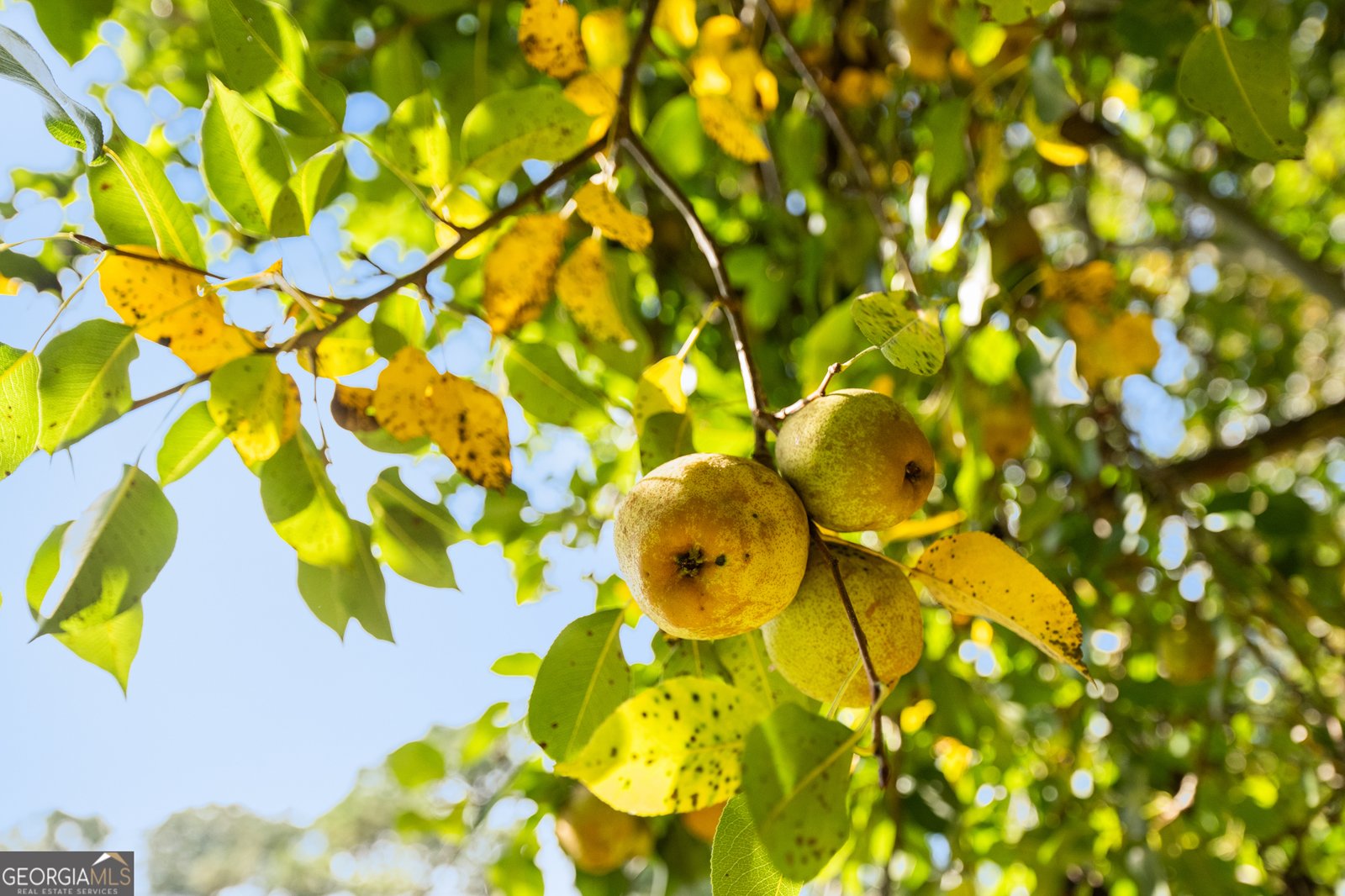 7350 Ono Road Palmetto - Photo 49