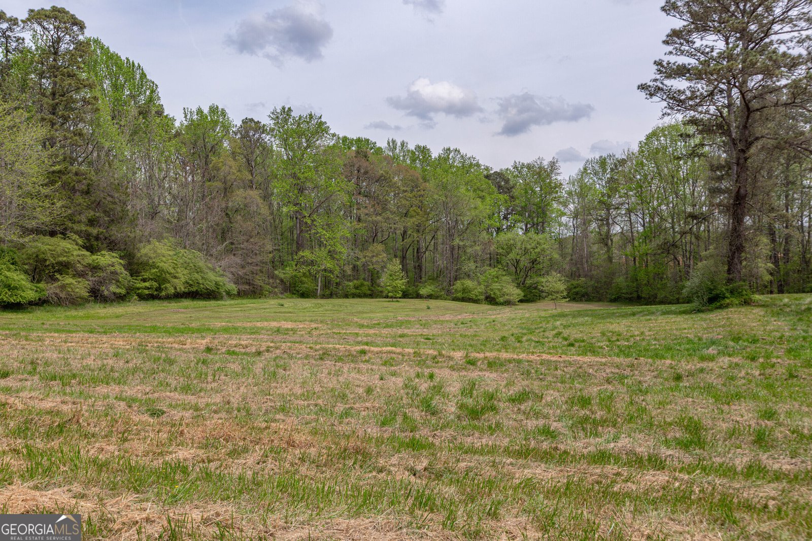 7350 Ono Road Palmetto - Photo 76