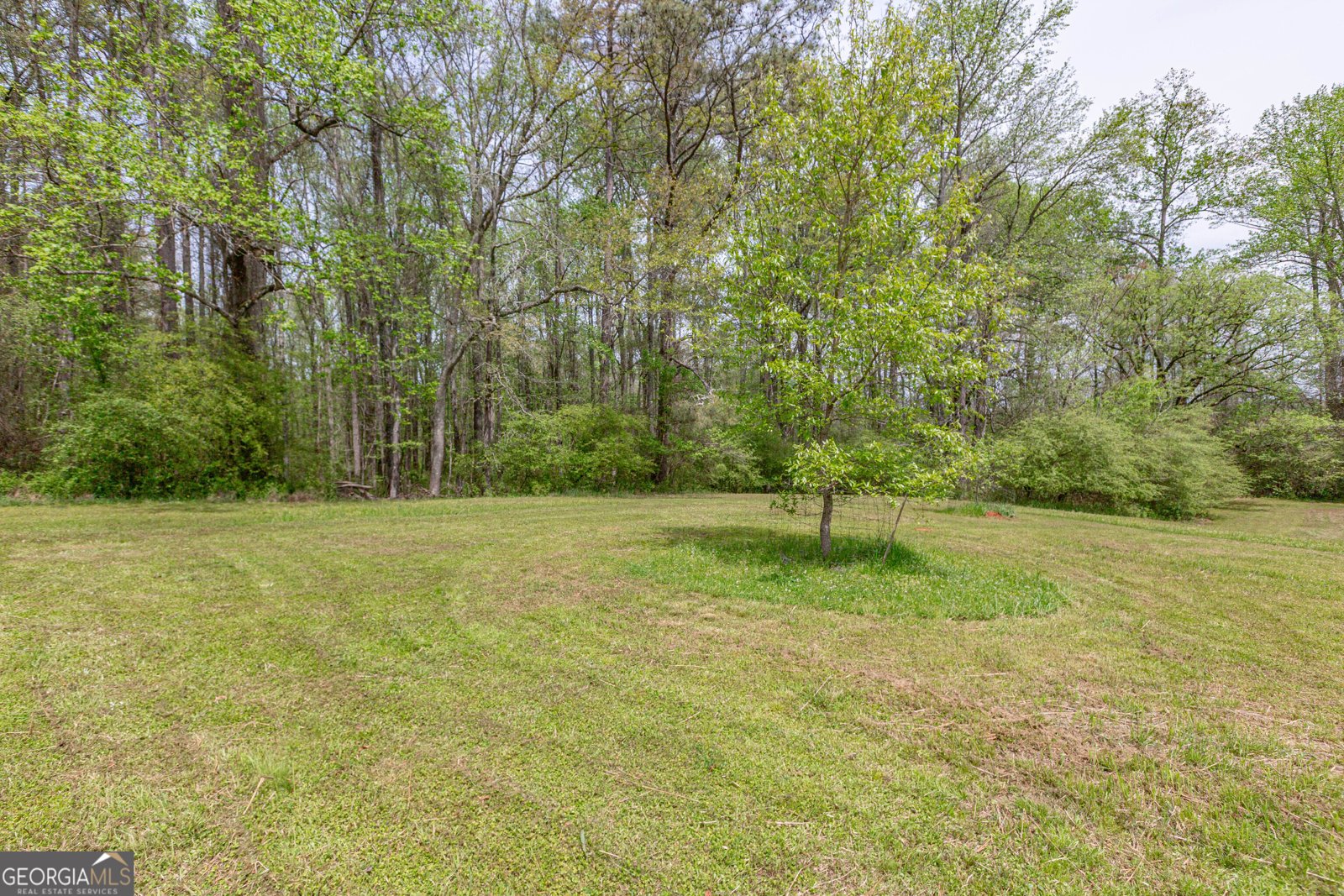 7350 Ono Road Palmetto - Photo 81