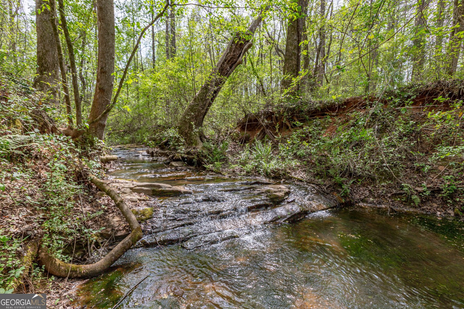 7350 Ono Road Palmetto - Photo 82