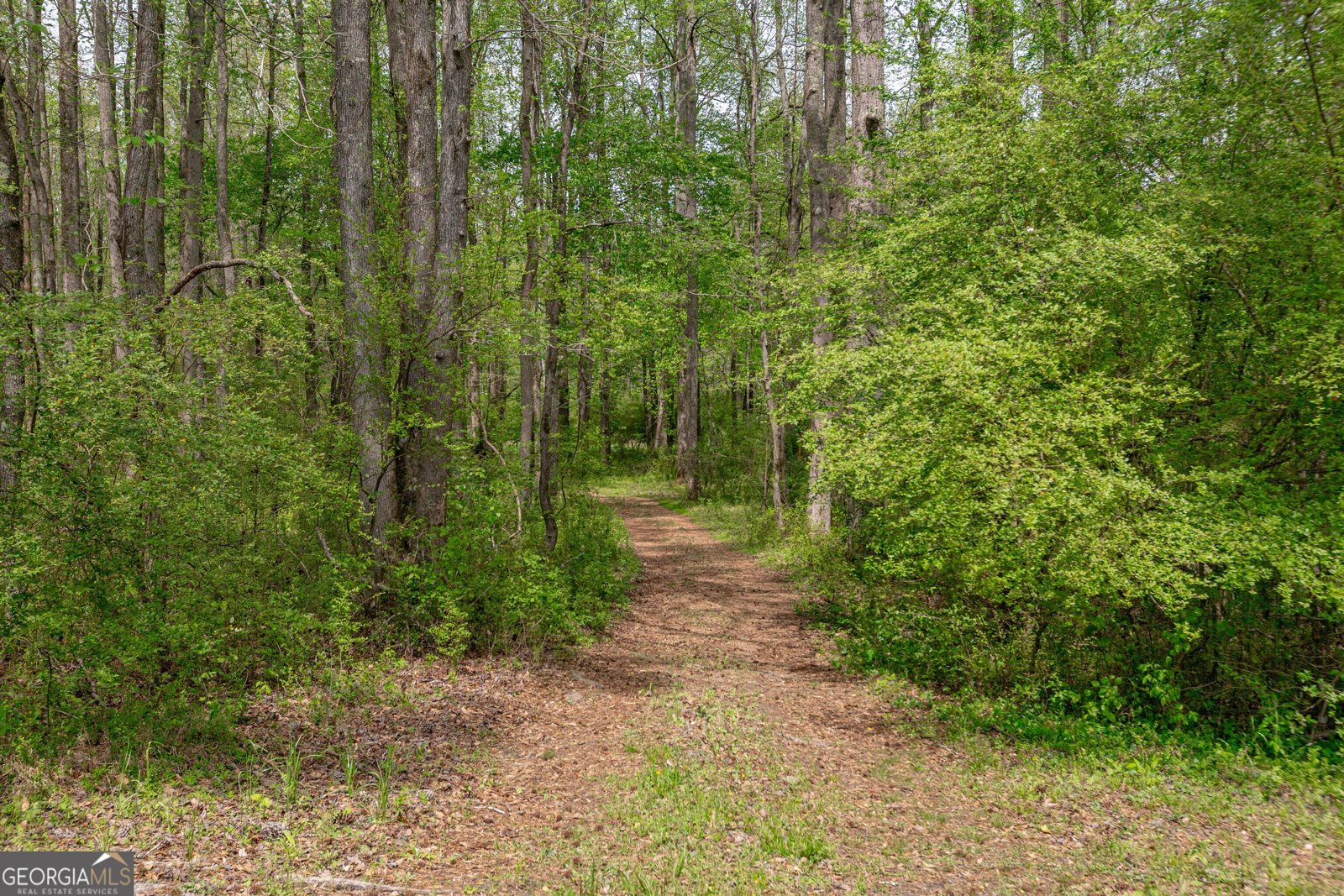 7350 Ono Road Palmetto - Photo 84