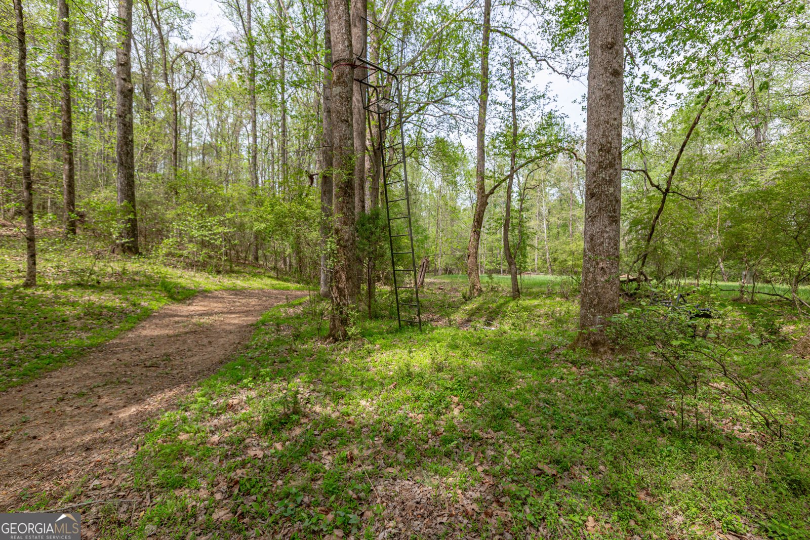 7350 Ono Road Palmetto - Photo 85