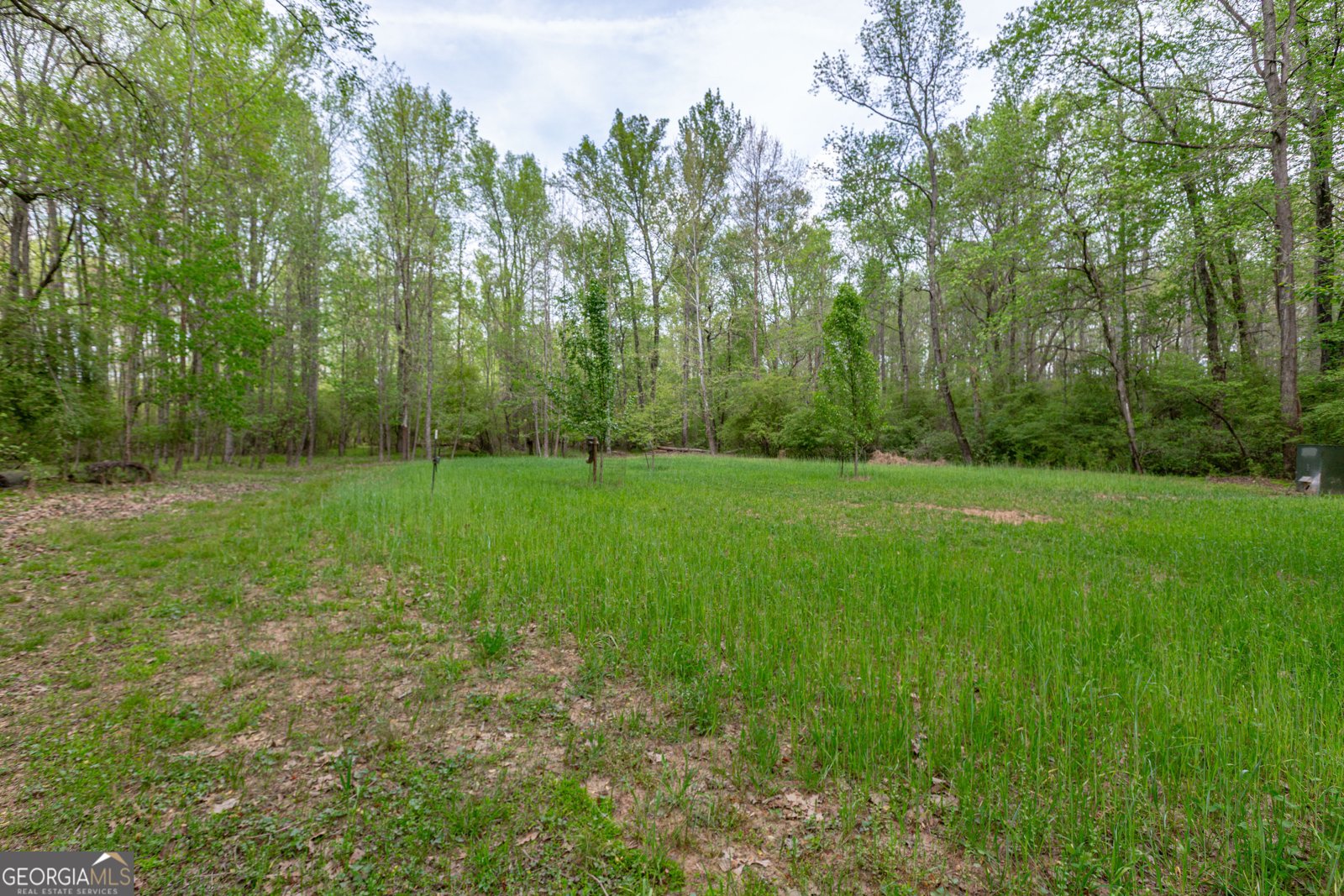 7350 Ono Road Palmetto - Photo 86