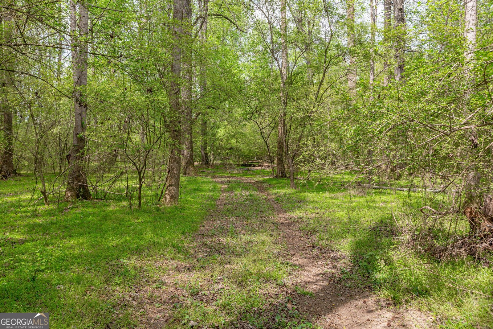 7350 Ono Road Palmetto - Photo 87