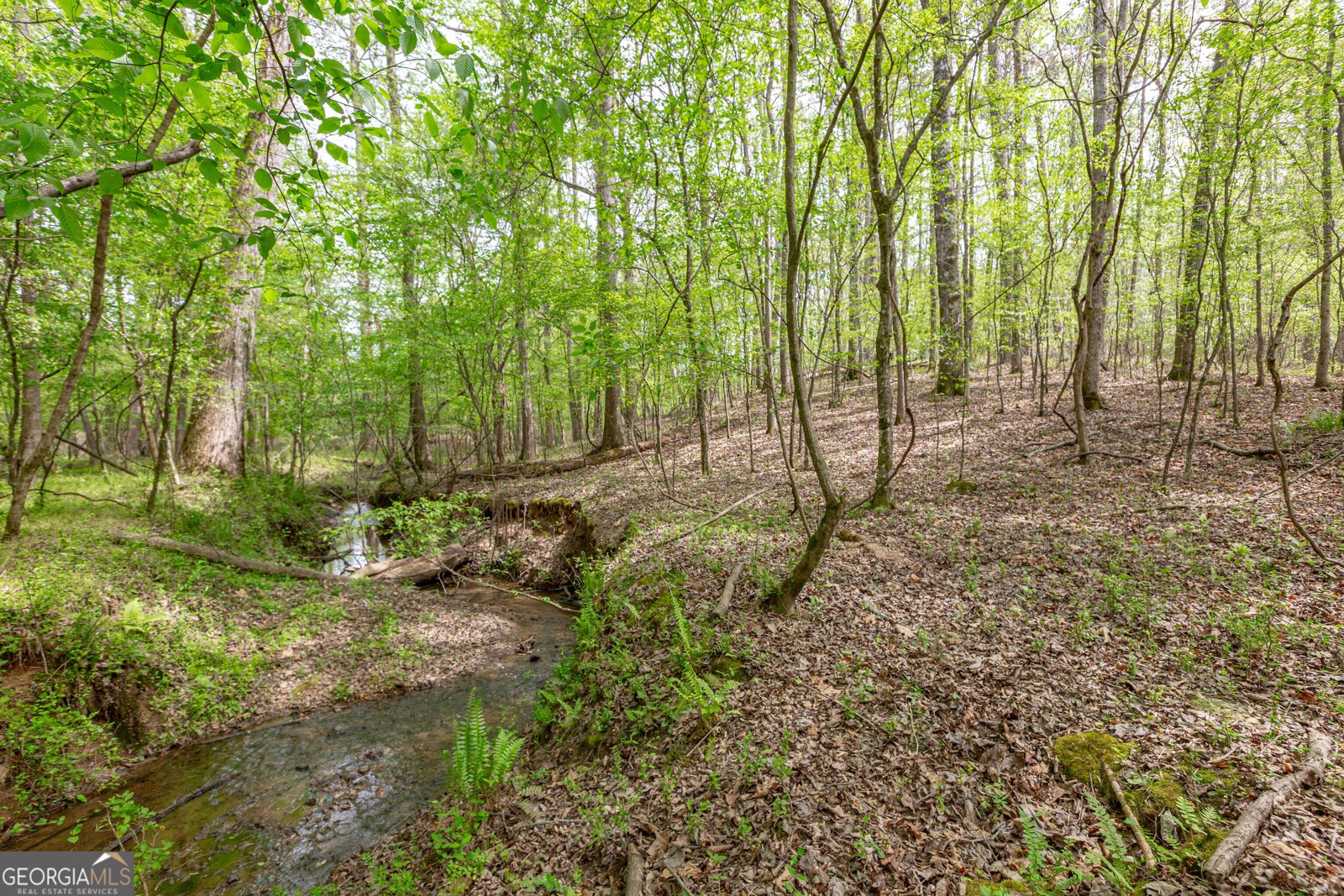 7350 Ono Road Palmetto - Photo 88