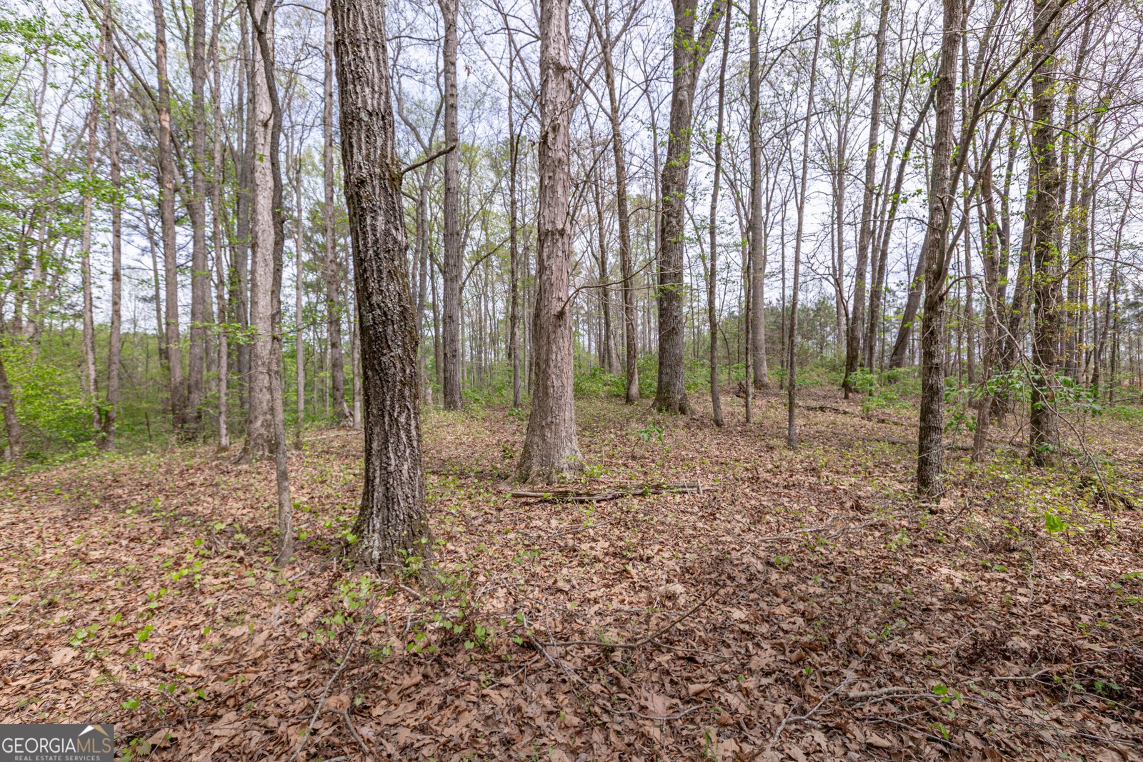 7350 Ono Road Palmetto - Photo 89