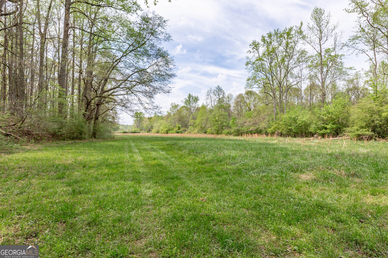 7350 Ono Road Palmetto - Photo 90