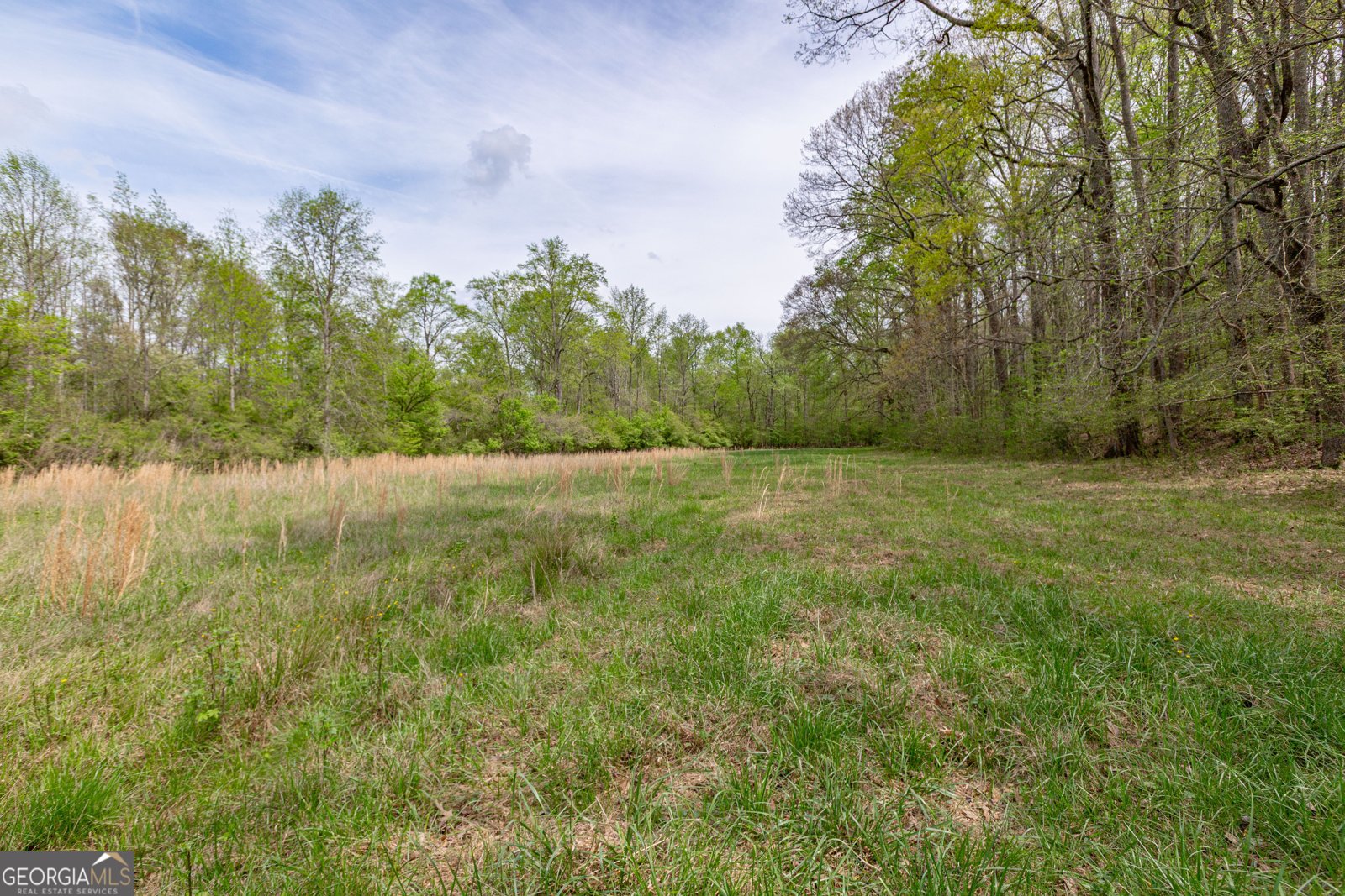 7350 Ono Road Palmetto - Photo 91