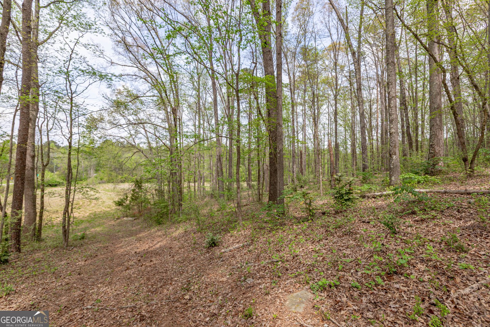 7350 Ono Road Palmetto - Photo 92