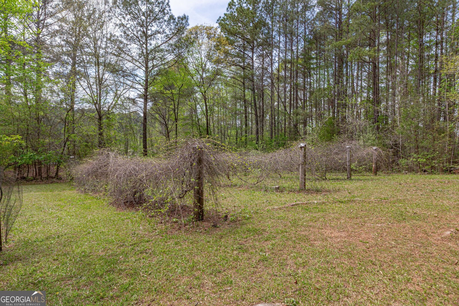 7350 Ono Road Palmetto - Photo 93