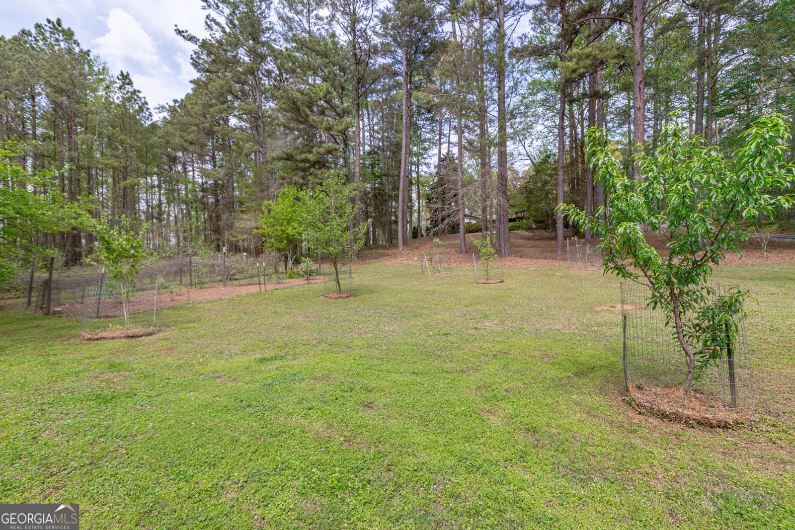 7350 Ono Road Palmetto - Photo 94