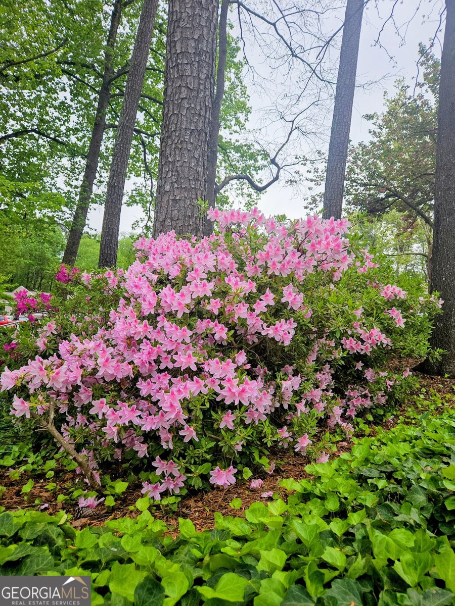 206 Wynnes Ridge Circle Marietta - Photo 23