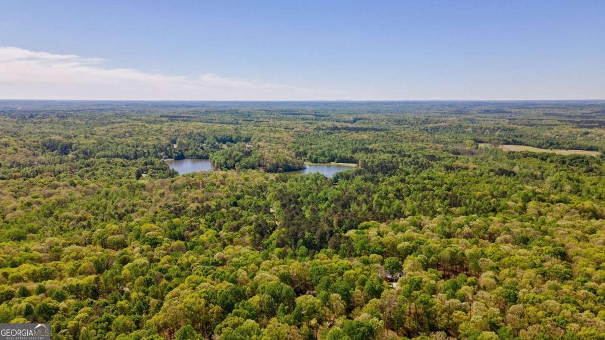 251 Tall Timber Trail Nicholson - Photo 48