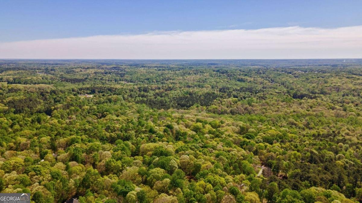 251 Tall Timber Trail Nicholson - Photo 49