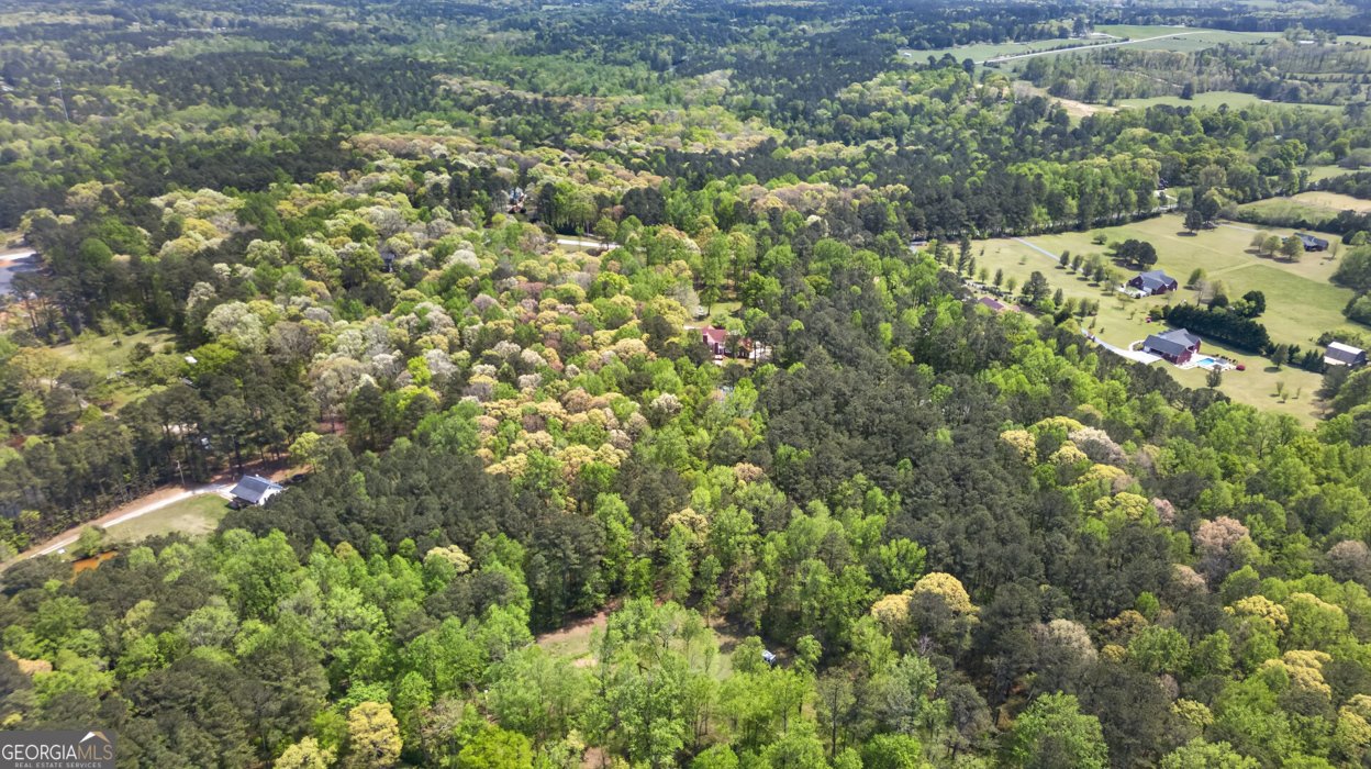 3035 Mt. Zion Road Oxford - Photo 115