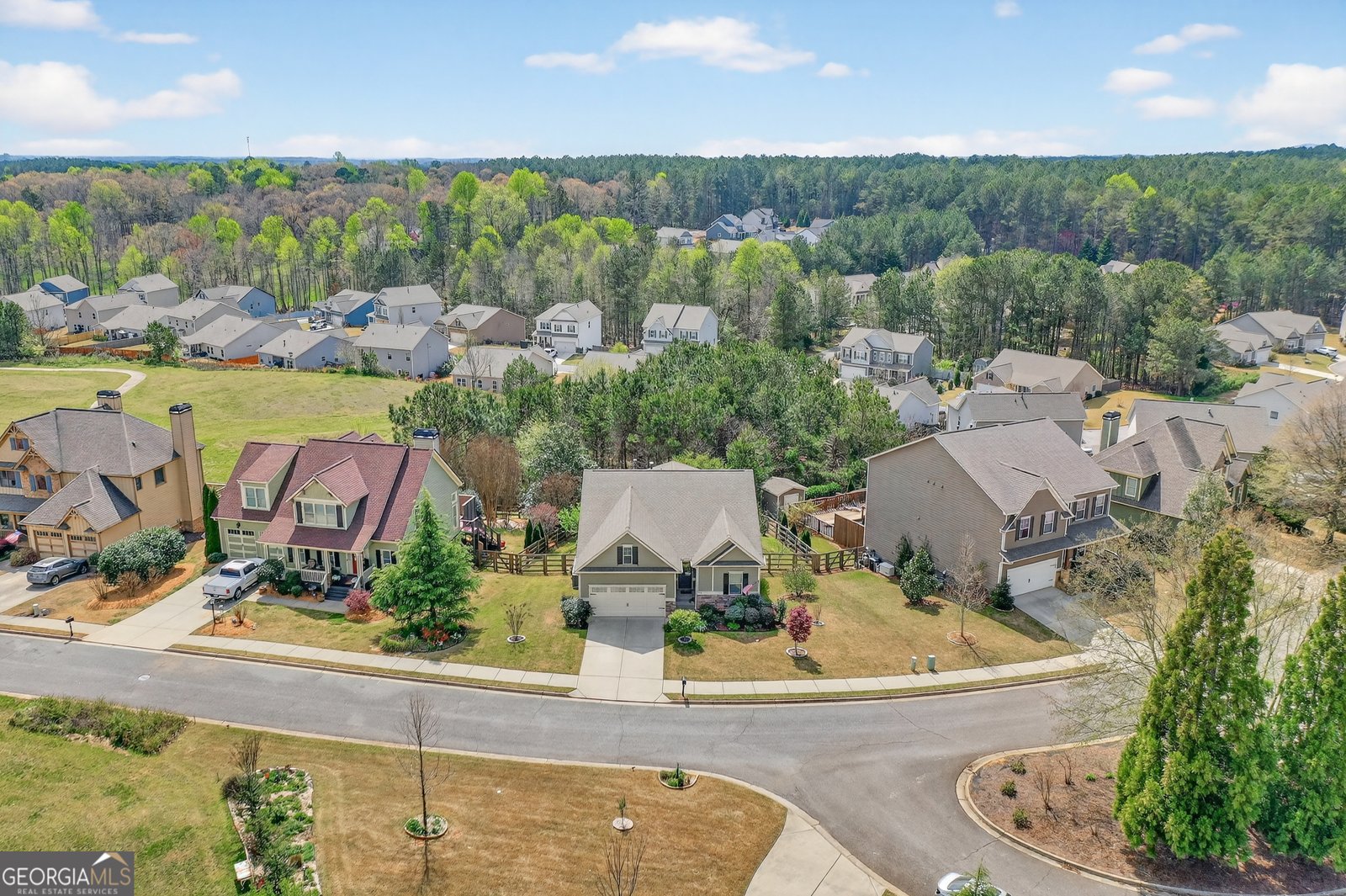 63 Crown Pointe Drive Dawsonville - Photo 48