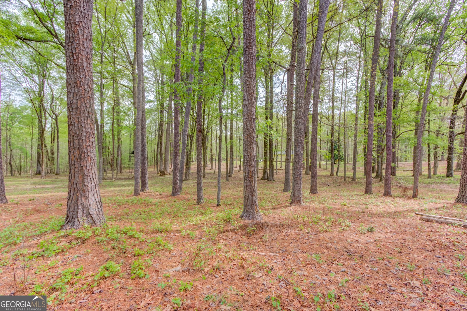 207 Boogers Hill Road Oxford - Photo 42