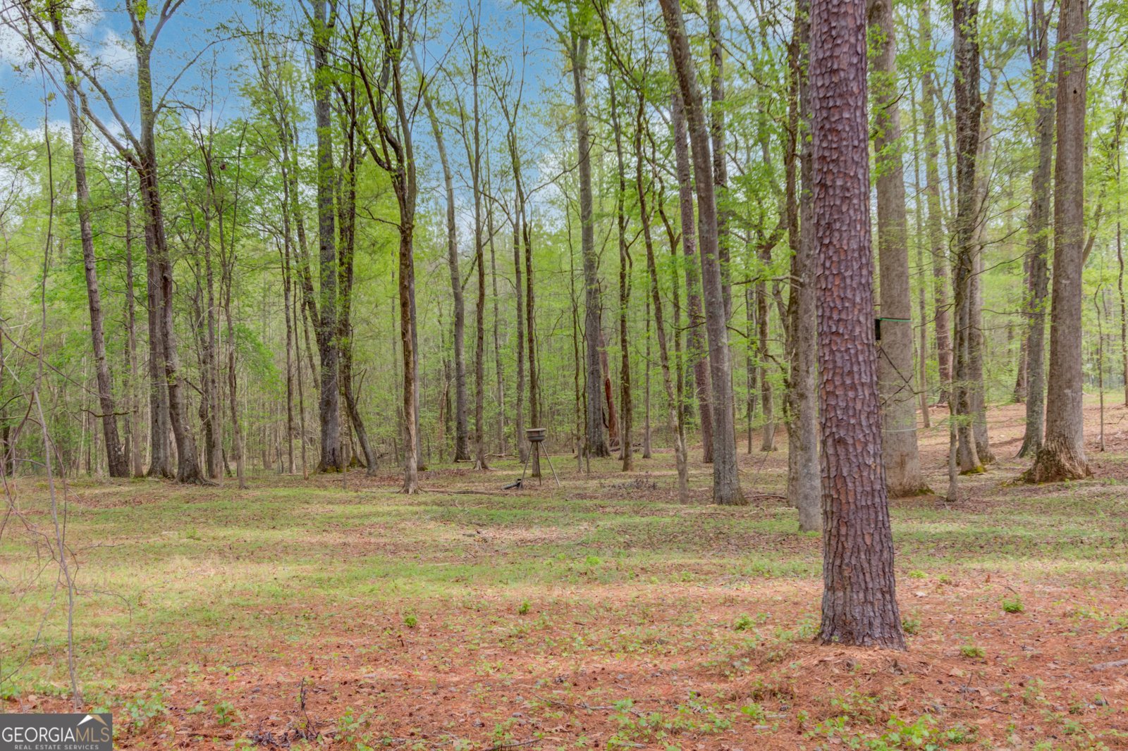 207 Boogers Hill Road Oxford - Photo 52