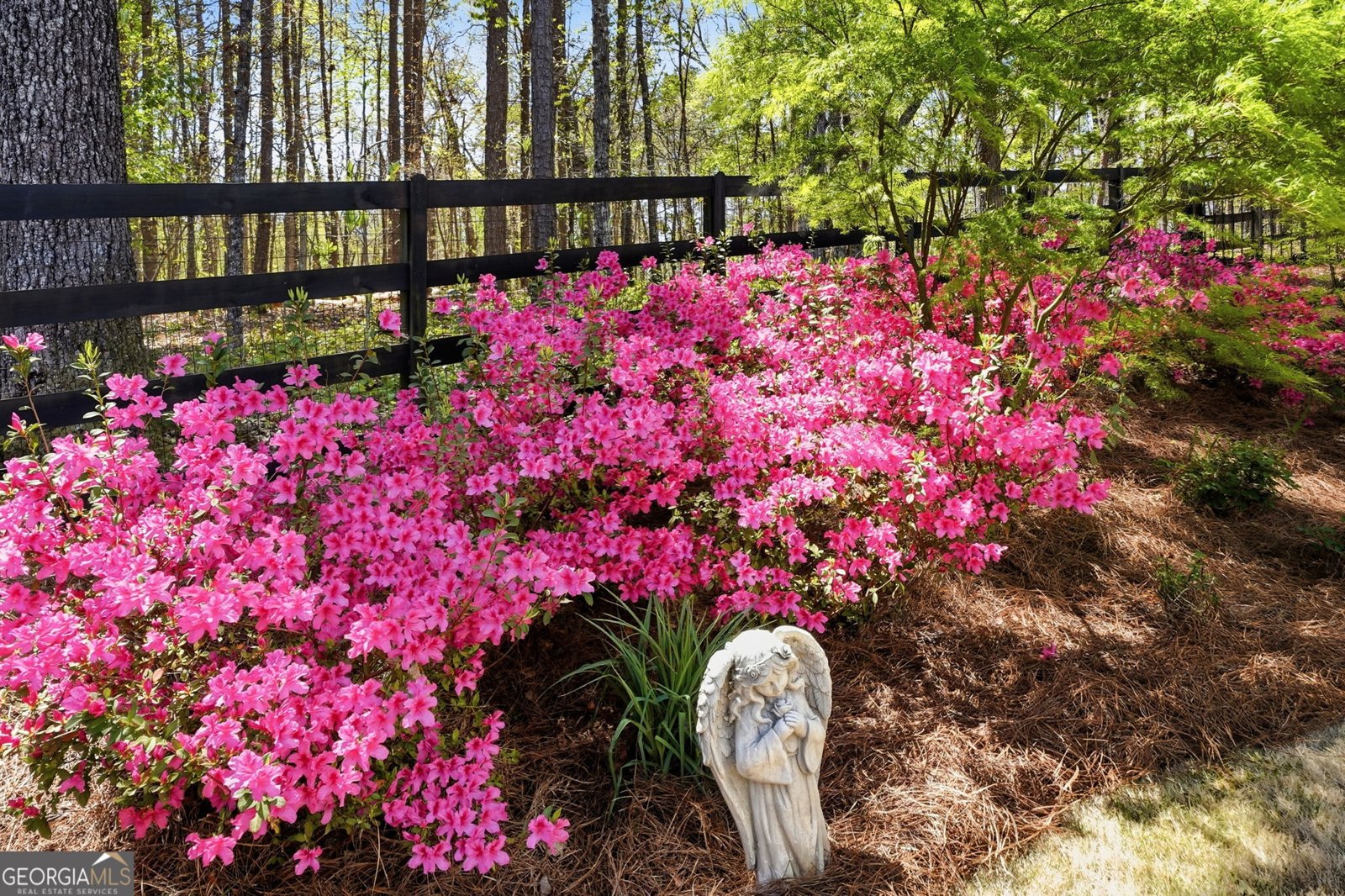 4147 Gold Mill Ridge Canton - Photo 67